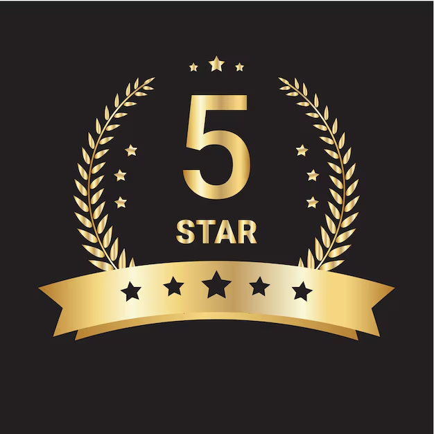 5-star customer reviews for Castles 4 U bouncy castle hire service in Essex